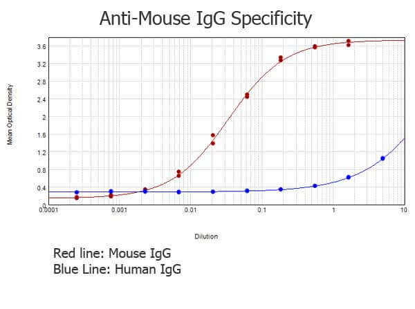 ELISA - Rabbit Anti-Mouse IgG H&L preadsorbed (AB7070), expandable thumbnail
