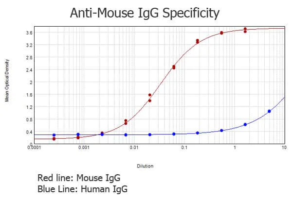 ELISA - Rabbit Anti-Mouse IgG H&L preadsorbed (AB7070)