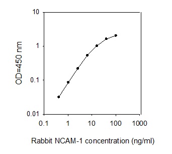 Sandwich ELISA - Rabbit NCAM1 ELISA Kit (CD56) (AB273250)