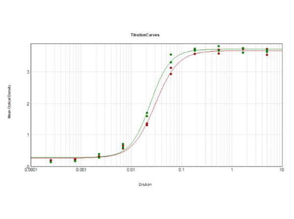 ELISA - Rabbit Anti-Rat IgG H&L (HRP) (AB6734), expandable thumbnail