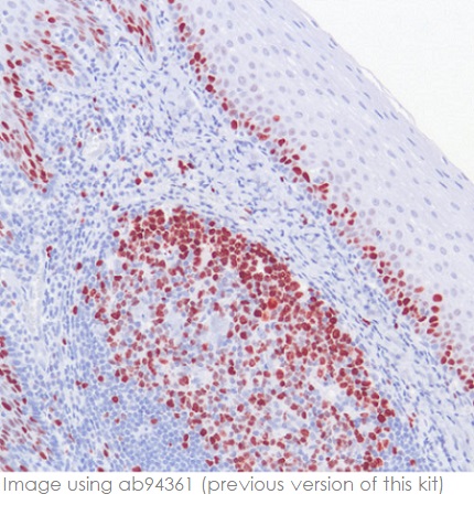 Immunohistochemistry (Formalin/PFA-fixed paraffin-embedded sections) - Rabbit specific HRP/AEC IHC Detection Kit - Micro-polymer (AB236468), expandable thumbnail
