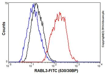 Flow Cytometry (Intracellular) - Anti-RABL3 antibody [EPR16709] - C-terminal (AB196024)