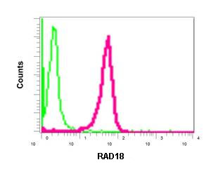 Flow Cytometry (Intracellular) - Anti-RAD18 antibody [EPR8942] (AB157463)