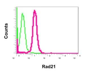 Flow Cytometry (Intracellular) - Anti-Rad21 antibody [EPR12647] (AB175215)