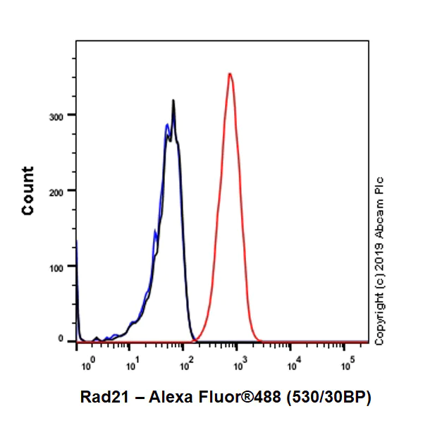 Flow Cytometry (Intracellular) - Anti-Rad21 antibody [EPR22506-15] - ChIP Grade (AB217678)