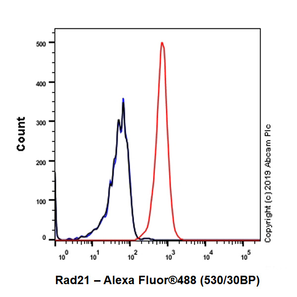 Flow Cytometry (Intracellular) - Anti-Rad21 antibody [EPR22506-15] - ChIP Grade (ab217678), expandable thumbnail