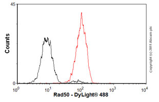 Anti-Rad50 antibody [13B3/2C6]