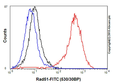 Flow Cytometry (Intracellular) - Anti-Rad51 antibody [EPR4030(3)] (AB133534)