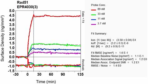OI-RD Scanning - Anti-Rad51 antibody [EPR4030(3)] (ab133534), expandable thumbnail