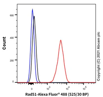 Flow Cytometry (Intracellular) - Anti-Rad51 antibody [EPR4030(3)] - BSA and Azide free (AB221796)