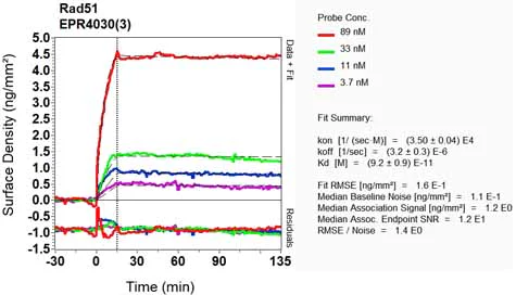 OI-RD Scanning - Anti-Rad51 antibody [EPR4030(3)] - BSA and Azide free (AB221796)