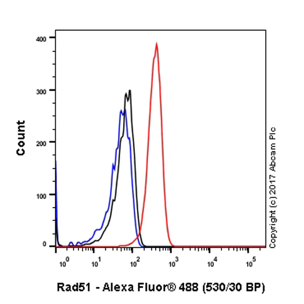 Flow Cytometry (Intracellular) - Anti-Rad51 antibody [EPR4031(23)] - BSA and Azide free (AB234634)