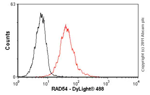 Flow Cytometry - Anti-RAD54 antibody [Rad54 4E3/1] (AB11055)