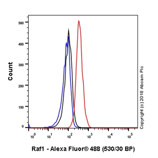 Flow Cytometry (Intracellular) - Anti-Raf1 antibody [EP4969] - BSA and Azide free (AB236003)