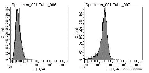 Flow Cytometry - Anti-RAGE antibody (AB37647)