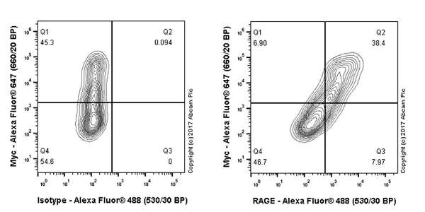 Flow Cytometry - Anti-RAGE antibody [EPR21171] - BSA and Azide free (AB228861)