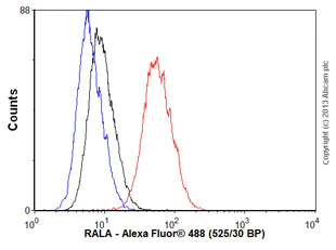 Flow Cytometry (Intracellular) - Anti-RALA antibody [EPR6468] (AB126627)
