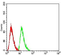 Flow Cytometry - Anti-Ran antibody [8D1H12] (AB233762), expandable thumbnail