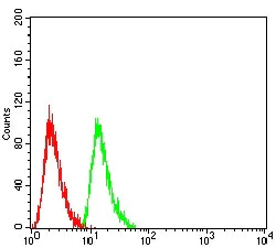 Flow Cytometry - Anti-Ran antibody [8D1H12] (AB233762)