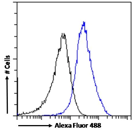 Flow Cytometry - Anti-RanBP1 antibody (AB17034)