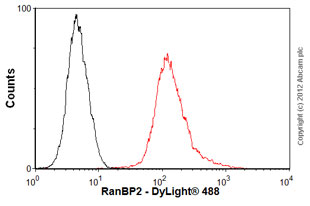 Flow Cytometry (Intracellular) - Anti-RanBP2 antibody [mAbcam58385] (AB58385)