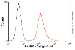 Flow Cytometry (Intracellular) - Anti-RanBP2 antibody [mAbcam58385] (AB58385)