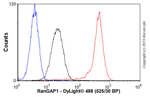 Flow Cytometry (Intracellular) - Anti-RanGAP1 antibody [EPR3295] - BSA and Azide free (ab239907), expandable thumbnail