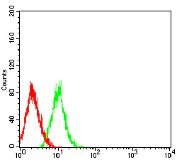 Flow Cytometry - Anti-RANK antibody [8H8B2] (AB233817)