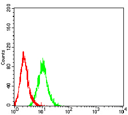 Flow Cytometry - Anti-RANK antibody [8H8B2] (AB233817)