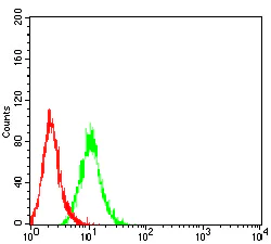 Flow Cytometry - Anti-RANK antibody [8H8B2] (AB233817)