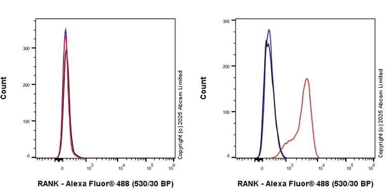 Flow Cytometry - Anti-RANK antibody [EPR29938-554] (AB325015)