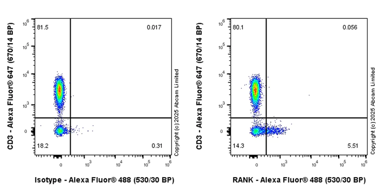 Flow Cytometry - Anti-RANK antibody [EPR29938-554] (AB325015)