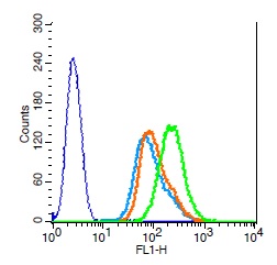 Flow Cytometry (Intracellular) - Anti-RANKL antibody (AB216484), expandable thumbnail