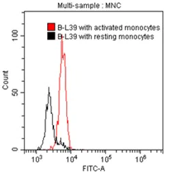 Flow Cytometry - Anti-RANTES antibody [B-L39] (AB288528)