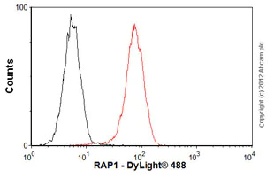 Flow Cytometry - Anti-RAP1/TERF2IP antibody [4c8/1] (AB14404)