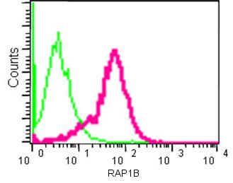 Flow Cytometry (Intracellular) - Anti-RAP1A + RAP1B antibody [EPR14815(B)] (AB181858), expandable thumbnail
