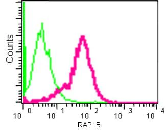 Flow Cytometry (Intracellular) - Anti-RAP1A + RAP1B antibody [EPR14815(B)] (AB181858)