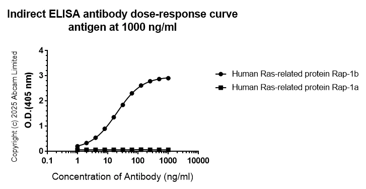 Indirect ELISA - Anti-RAP1B antibody [EPR29673-566] (AB324733)