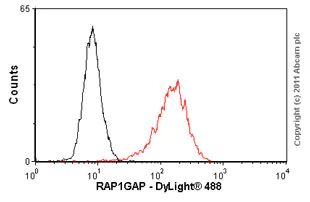 Flow Cytometry (Intracellular) - Anti-RAP1GAP antibody [Y134] (AB32373)