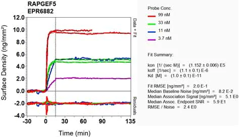 OI-RD Scanning - Anti-RAPGEF5 antibody [EPR6882] (AB129008)