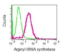 Flow Cytometry (Intracellular) - Anti-RARS antibody [EPR6298] - BSA and Azide free (AB248245)