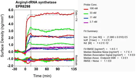 OI-RD Scanning - Anti-RARS antibody [EPR6298] - BSA and Azide free (AB248245)