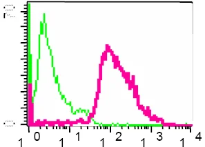 Flow Cytometry (Intracellular) - Anti-Ras antibody [EP1125Y] (AB52939)