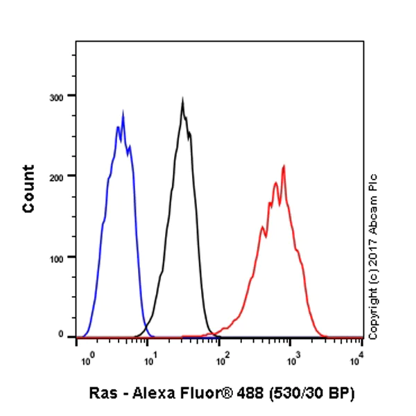 Flow Cytometry (Intracellular) - Anti-Ras antibody [EP1125Y] - BSA and Azide free (AB271848)
