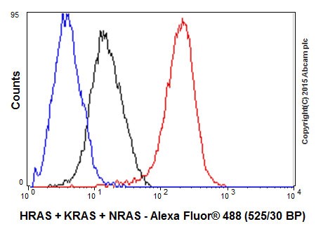 Flow Cytometry (Intracellular) - Anti-Ras antibody [EPR18713-13] (AB206969)