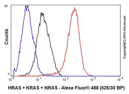 Flow Cytometry (Intracellular) - Anti-Ras antibody [EPR18713-13] - BSA and Azide free (AB238444)