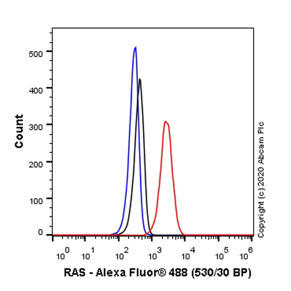 Flow Cytometry (Intracellular) - Anti-Ras antibody [EPR23474-20] (ab275875), expandable thumbnail