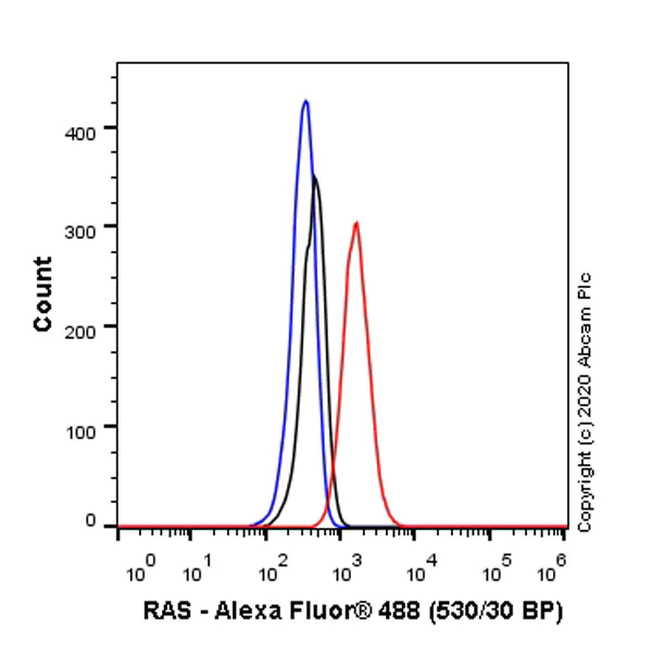Flow Cytometry (Intracellular) - Anti-Ras antibody [EPR23474-20] - BSA and Azide free (AB275884)