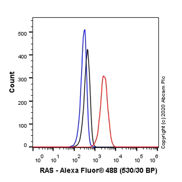Flow Cytometry (Intracellular) - Anti-Ras antibody [EPR23474-20] - BSA and Azide free (AB275884)