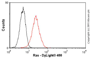 Flow Cytometry - Anti-Ras antibody [F132-62] (AB16907)